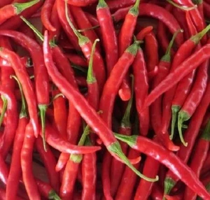 300 Cayenne Thin Hot Pepper Seeds | Non-GMO - Picture 1 of 2