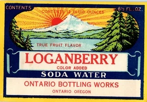 ANTIKES SODA ETIKETT ONTARIO OREGON ABFÜLLUNG FUNKTIONIERT BUNT ORIGINAL LOGANBERRY - Bild 1 von 2