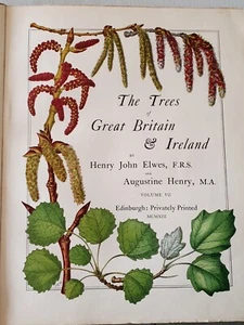 Trees of Great Britain and Ireland Volume 7 VII by Elwes Henry 1913 Edinburgh - Picture 1 of 21