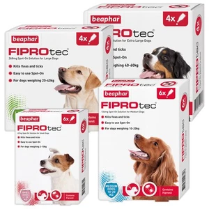 BEAPHAR FIPROtec SPOT ON FLEA TICK TREATMENT Solution S M L XL Dog/Cat Fipronil - Picture 1 of 7