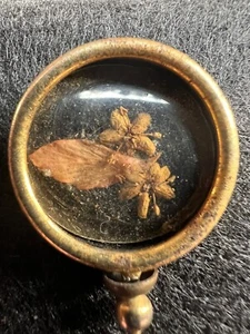VINTAGE PRESSED DRIED FLOWERS GOLD TONE METAL FRAME STICK PIN (POOR ORDER) - Imagen 1 de 7