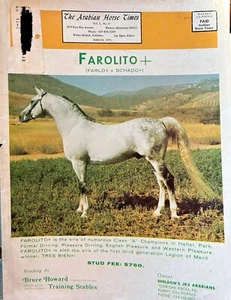 Arabian Horse Times Magazine 💌 March 1975 Issue Vintage ❄️ - Picture 1 of 5