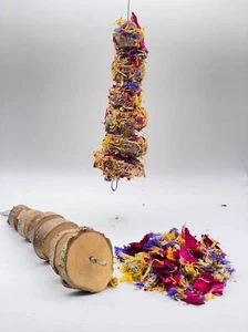 Chips forrajeros colgantes de madera de manzana y masticar conejo, hámster y conejillos de indias - Imagen 1 de 6