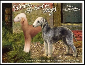 BEDLINGTON TERRIER VINTAGE STYLE A4 SIZE DOG FOOD ADVERT ART PRINT POSTER - Picture 1 of 1