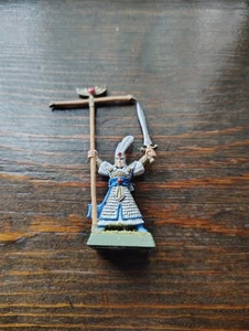 Warhammer Fantasy High Elf Command Metal, ¡pintado! - Imagen 1 de 5