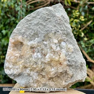 Rare calcite crystals in vug - sidmouth mudstone formation, triassic, sidmouth, - Picture 1 of 2