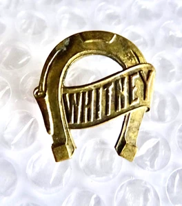 wHITNEY NAME BROOCH HORSESHOE GOOD LUCK COWGIRL VINTAGE METAL JEWELRY neocurio - Picture 1 of 3