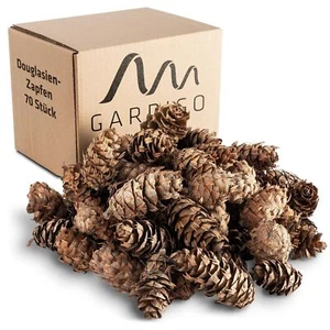 Douglasienzapfen Gardigo® Deko Tannenzapfen Kiefernzapfen Advents Dekoration - Bild 1 von 4