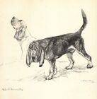 1938 antique imprimé Bloodhound Vernon Stokes Bloodhound illustration 4963 m