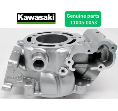 Jarra de cilindro original Kawasaki KX100 11005-0053 OEM 2006-2013 se envía desde Japón Foto 1 de 4