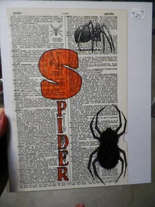Original Spinnenzeichnung altes Wörterbuch Seite Kunst Halloween Wandbehang Requisite - Bild 1 von 2