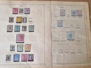 Natal Stamp Accumulation on Ancient Schaubek Pages - Picture 1 of 5