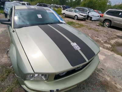 Parrilla de parachoques delantero Ford Mustang 2006-2009 W9EUP Foto 1 de 4