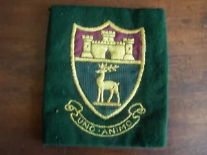 1950's Windsor Grammar School cloth Colours or blazer badge patch - Picture 1 of 2