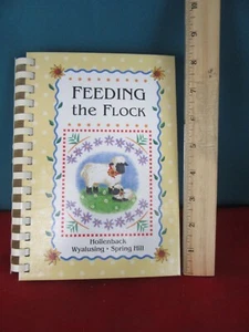 916. Feeding Flock Hollenback Wyalusing Spring Hill PA United Methodist Church - Picture 1 of 9