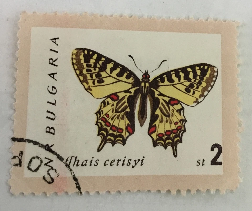 Sello de mariposas de Bulgaria “Zerynthia Cerisyi” Foto 1 de 1