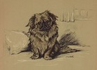 Pekingese "George" - CUSTOM MATTED - Lucy Dawson Dog Art Print - NEW