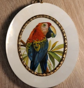 E.Riegel Lupenmalerei Miniaturen Bild Vögel Papagei "Hellroter Ara" 10,5 x 12,5 - Bild 1 von 4