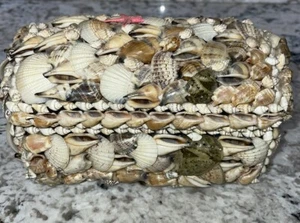 Sea Shell Treasure Chest Trinket Jewelry Box with Hinged Lid - 7"x4.5"x4" - Picture 1 of 12