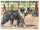 1952 Austria Tobacco Company Bildwerk Dog Art Print Card OLD ENGLISH SHEEPDOG