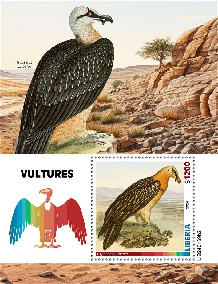Estampillas Buitres Birds MNH 2024 Liberia S/S Foto 1 de 1