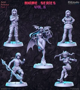 Anime Series DnD Miniature Set: Fantasy Tabletop RPG Figures - Picture 1 of 12