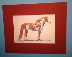 8" x 10" Matted 5" x 7" Print of Chestnut and White Pinto Horse - Picture 1 of 3