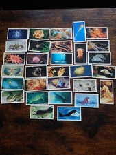 Grandee The Living Ocean Cigarette Cards Collection Set