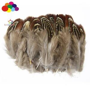 11 colors Dyed 5-10 cm / 2-4 inches optional 10-100PCS natural Pheasant Feathers
