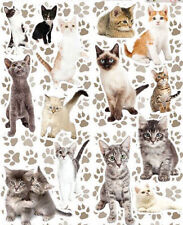 CATS  wall stickers 14 decals room decor nursery KITTENS Persian breeds