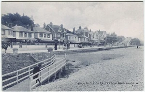 BUDLEIGH SALTERTON, PROMENADE - Devon Postcard - Picture 1 of 2