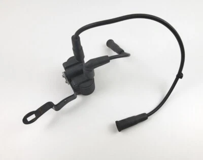 Harley Davidson Iron 883 XL883 2009-2021 Sportster bobinas de encendido bujía OEM Foto 1 de 4