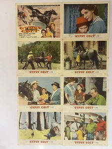 Gypsy Colt 1954 Vintage Lobby Card Set w/Ward Bond, Frances Dee & Donna Corcoran - Picture 1 of 9