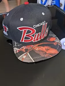 Ultra Rare Chicago BULLS Hat Mitchell & Ness - Picture 1 of 6