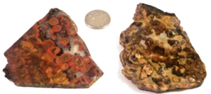 2 Rare CA Poppy Jasper, Marcasite & Agate Total 5.2 Oz. 1st 2 pics wet #3488 - Picture 1 of 5