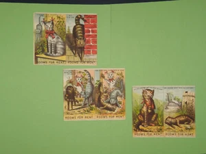 Set 3 Victorian Trade Cards For "Rooms For Rent" Play Tom Cats Fight Over Tabby - Picture 1 of 2