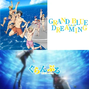 Grand Blue Dreaming Anime Complete Series 1-12 English Subtitle Region All DVD - Picture 1 of 10