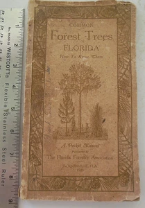 VTG 1925 Pocket Manual: Common Forest Trees of Florida by Wilbur R. Mattoon - Imagen 1 de 6