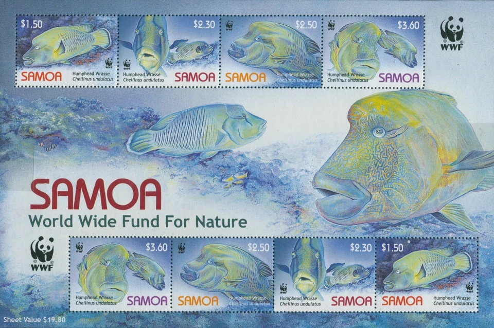 Samoa 2006 SG1182 Humphead Wrasse WWF MS MNH Foto 1 de 1