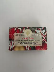 Waverly & London Candy Cane saponetta 7 once NUOVO Natale - Foto 1 di 2