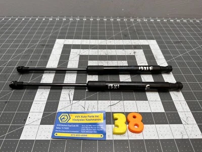 12-15 BMW X1 E84 FRONT LEFT & RIGHT HOOD STRUT SHOCK ABSORBER PAIR OEM - Image 1 of 4