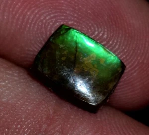 Natural Rare Ammolite Gemstone Cabochon 2.00 Ct Loose Ammolite Gemstone - Bild 1 von 5