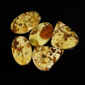 Incredible Top Quality Natural Green Opal Mix Shape Cabochon Lot Loose Gemstone - Picture 1 of 4