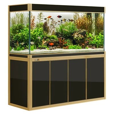 250-Gallon Tempered Glass Aquarium – Black & Gold Complete Set-up - Image 1 of 4