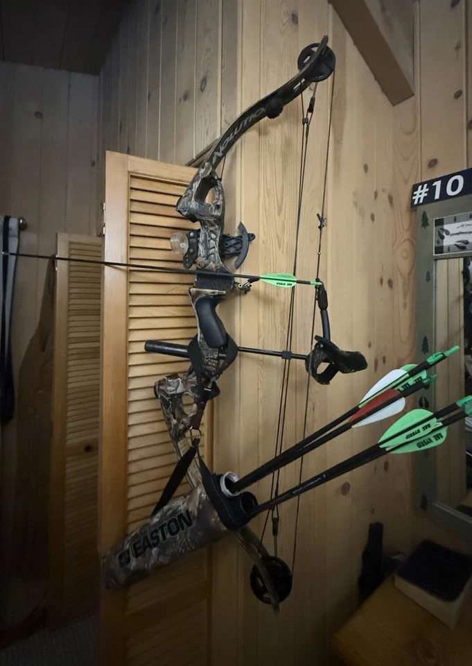 Arco compuesto Golden Eagle Easton carcaj y flechas Foto 1 de 4