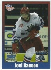Joel Hanson 2008-09 Augusta Lynx (ECHL) 