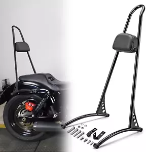 24" Tall Sissy Bar, Detachable Passenger Backrest Compatible with 2006-2017 Harl - Picture 1 of 9