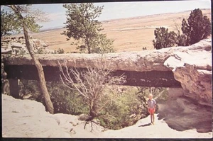 Agate Bridge - Petrified Forest, Arizona - unposted - Picture 1 of 2