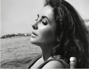 Elizabeth Taylor 8x10 giclee photo The Sandpiper - Picture 1 of 1