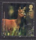 Wielka Brytania 2004 qe2 1st Woodland Animals ' Roe deer ' SG 2480 ex fdc (F1023 )